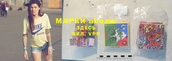 шишки Алзамай