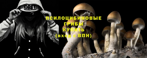 крисы Алексеевка