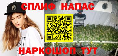 дживик Кингисепп