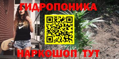 СК Кимры