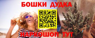 кокс Кандалакша