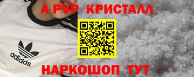дживик Кингисепп