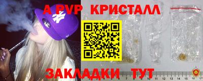 дживик Кингисепп