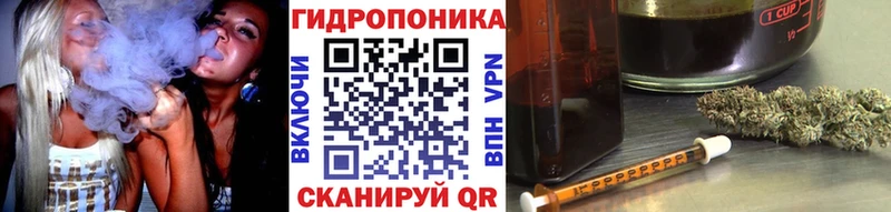 Конопля OG Kush  Кыштым 